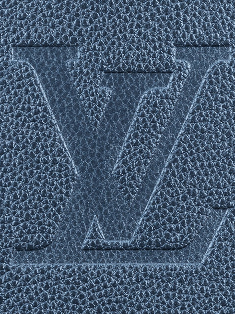 Сумка Louis Vuitton